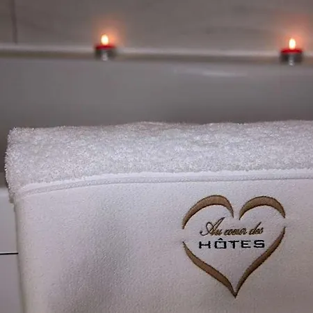 Au Coeur Des Hotes 3*