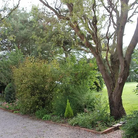 Gasthuis Au Coeur Des Hôtes Steenvoorde